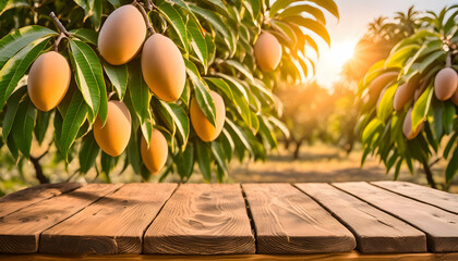 Rustic Wooden Table with Sunlit Mango Tree