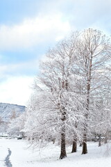 冬の上堰潟公園（新潟県）