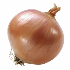 b'Single onion bulb'