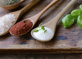 different varieties of salt in wooden spoons - 795447295