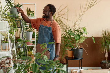 Side view portrait of adult African American man enjoying gardening at home and watering green plants on shelves copy space 
