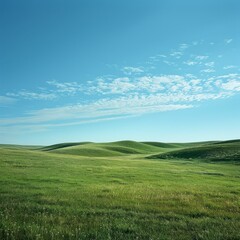 Obraz premium b'Grasslands under the blue sky'