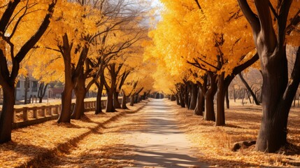 b'An Autumn Avenue of Trees with Yellow Leaves'