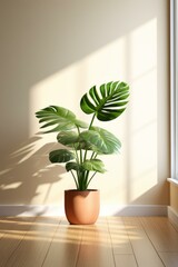 b'A potted monstera plant in a room with sunlight'