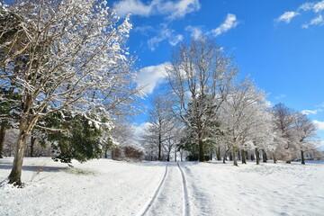 冬の上堰潟公園（新潟県）