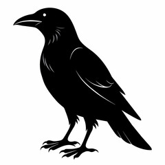 crow silhouette vector illustration