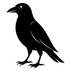 crow silhouette vector illustration