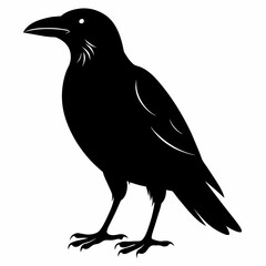 crow silhouette vector illustration
