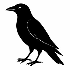 crow silhouette vector illustration