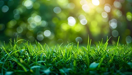 Fotobehang A vibrant green lawn with fresh grass outdoors, creating a peaceful and serene natural environment. Perfect for spring-themed designs, environmental campaigns, or nature-related content. © NE97
