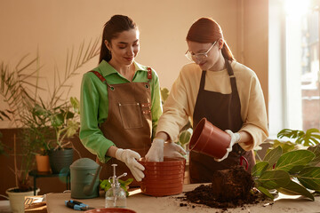 Waist up portrait of two young women repotting plant while working in flower shop, copy space