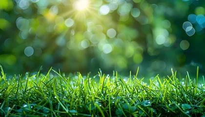 Behang Groen Green lawn with fresh grass outdoors, nature spring grass background texture.
