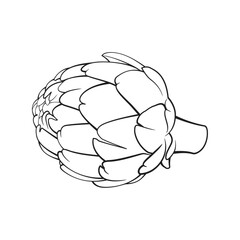 Artichoke, Black and White, Stylized, Vector Illustration