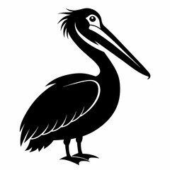 pelican silhouette vector illustration