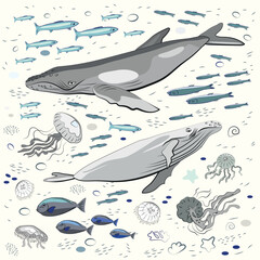 Naklejka premium Set of marine life. Whales; jellyfish; fish; starfish, sprat, seashells, pebbles, seaweed. Textures. Blue, gray, white background. Flat vector illustration. Sea collection for design.