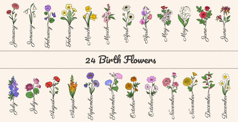 Set 24 birth flowers with month names, vector, for birthday, crafting, card making, cricut cut  - obrazy, fototapety, plakaty
