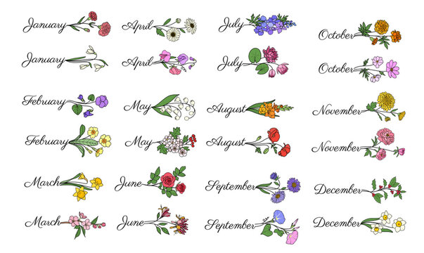 Vector birth flowers with month names