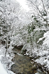 冬の剣龍峡（新潟県） © UI_forever