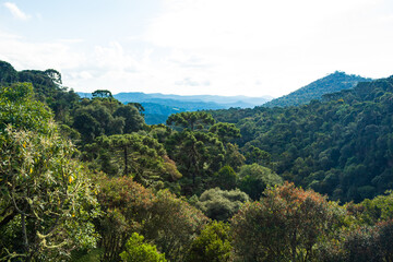 vale em    Urubici  Serra Catarinense  Serra Geral  Santa Catarina  Brasil
