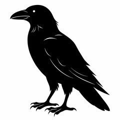 Raven silhouette vector illustration on white background