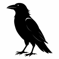 Raven silhouette vector illustration on white background