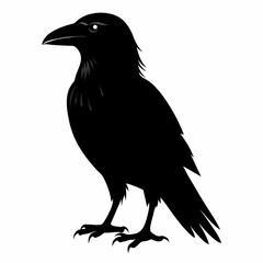 Raven silhouette vector illustration on white background