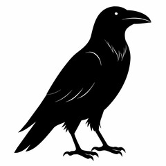 Raven silhouette vector illustration on white background