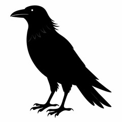 Raven silhouette vector illustration on white background