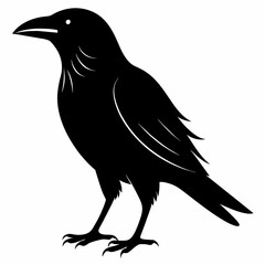 Raven silhouette vector illustration on white background