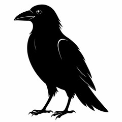 Raven silhouette vector illustration on white background