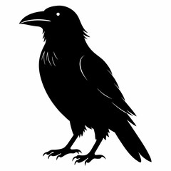 Obraz premium Raven silhouette vector illustration on white background
