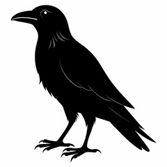 Raven silhouette vector illustration on white background