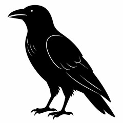 Raven silhouette vector illustration on white background