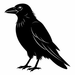 Obraz premium Raven silhouette vector illustration on white background