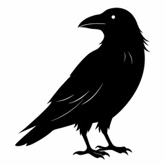 Raven silhouette vector illustration on white background