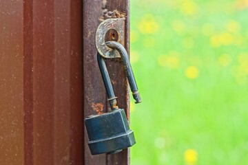 one small safe iron gray open padlock hanging on the metal bracket of a brown gate during the day...