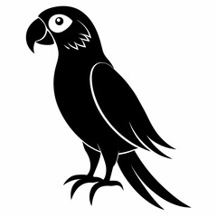 Macaw sillhouette vector illustration