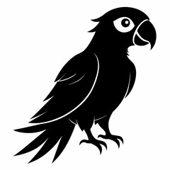 Macaw sillhouette vector illustration