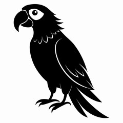 Macaw sillhouette vector illustration