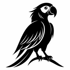 Macaw sillhouette vector illustration