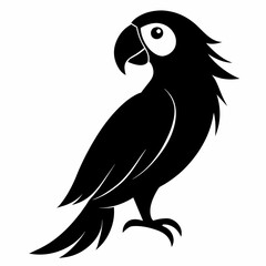 Macaw sillhouette vector illustration