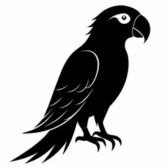 Macaw sillhouette vector illustration