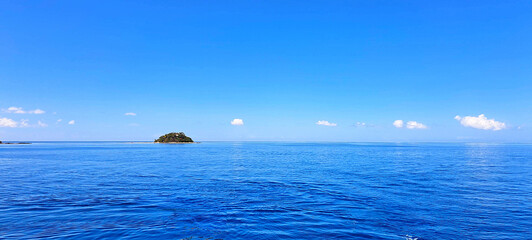 coral reef and sea