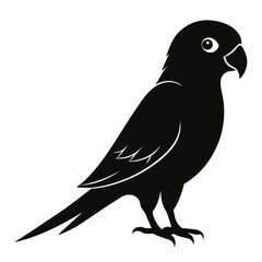 Parakeet sillhouette vector illustration
