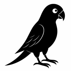 Parakeet sillhouette vector illustration