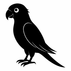 Parakeet sillhouette vector illustration