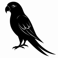 Obraz premium Parakeet sillhouette vector illustration