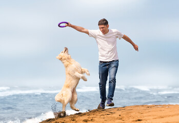 A happy owner and his golden retriever play on the sandy beach on a sunny summer day. Life with a...