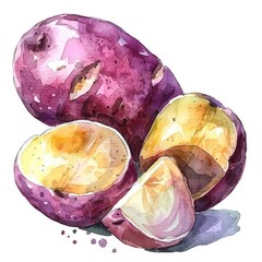 Watercolor rendition of purple potatoes, with a section sliced