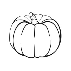 Black and white outline of a pumpkin. Vector Illustration